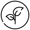 Vegansk